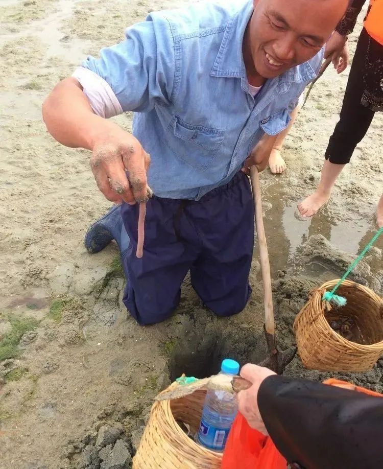 北海涠洲岛旅游攻略5天4晚双飞,西安北海涠洲岛自由行六日游