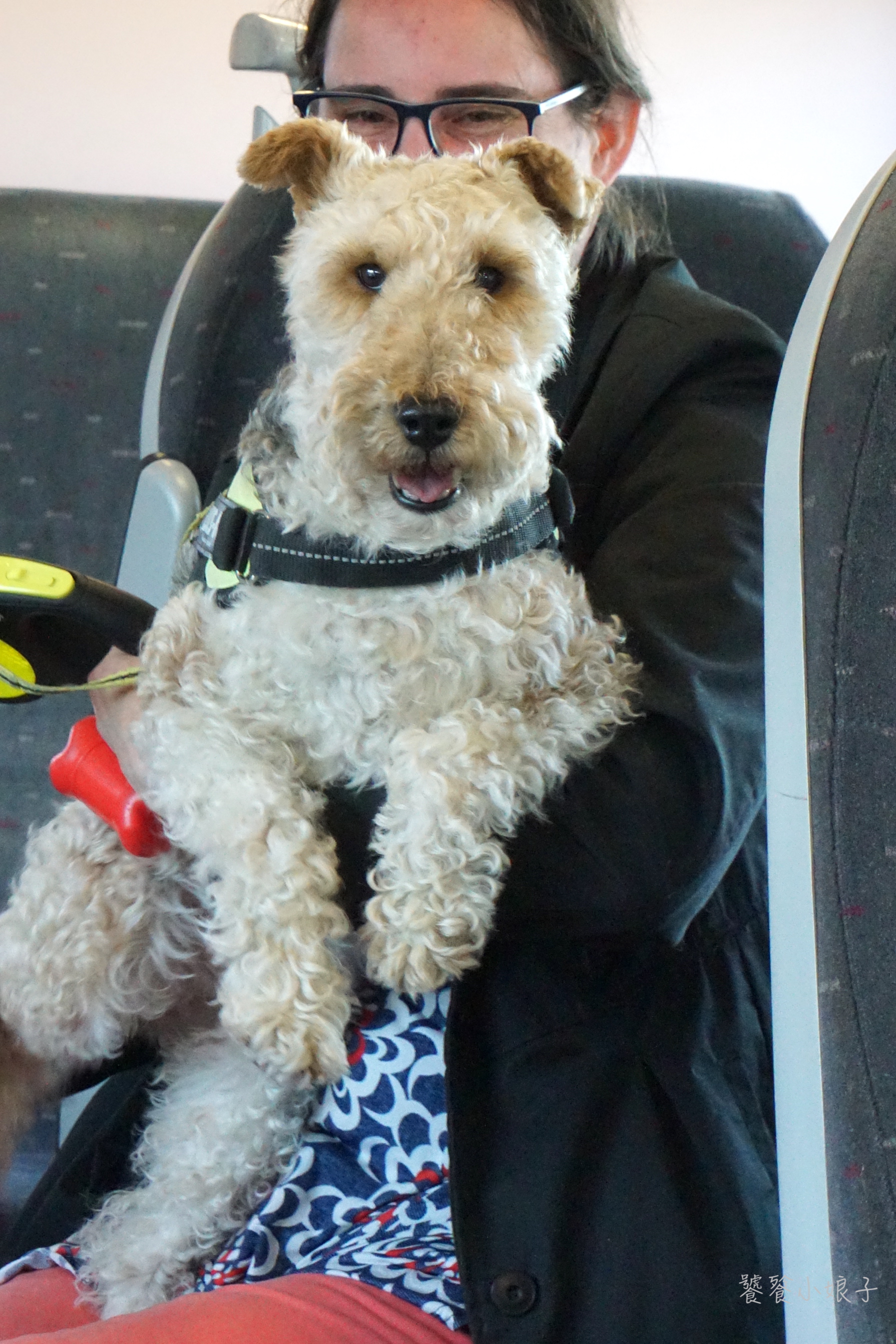 圣血大教堂圣血不同之处,存放基督血的教堂