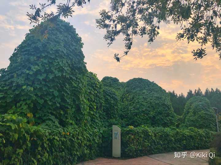 郑州有什么好玩的地方推荐,郑州有什么好玩的地方适合小孩子