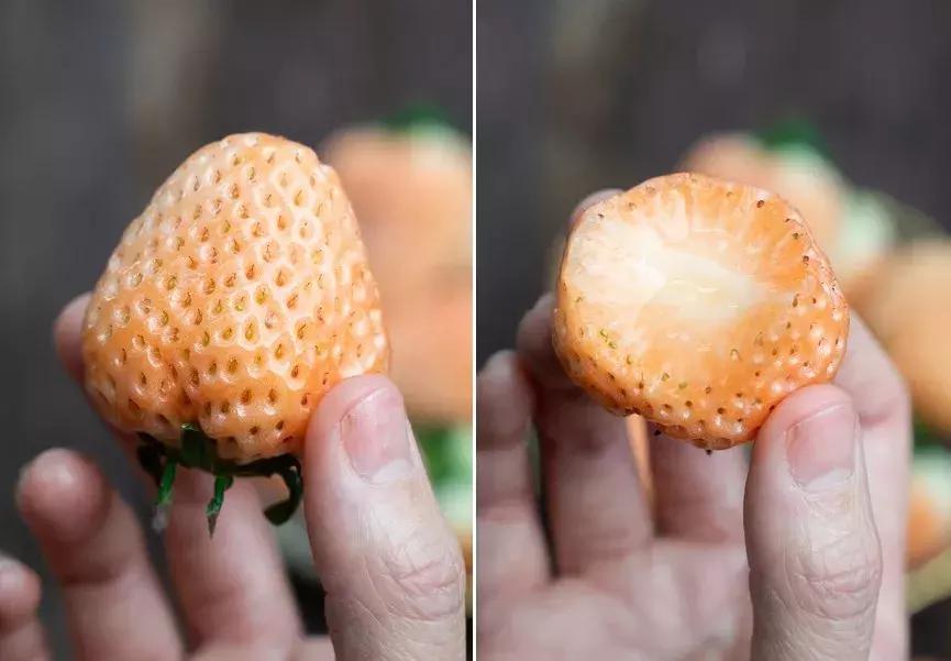 一下子吃了很多草莓,一下子吃了300g草莓