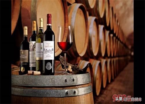 “品尚葡园荟”——欢迎您