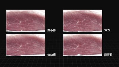 skg筋膜枪推荐排行榜前十名,倍轻松和skg筋膜枪哪个好用