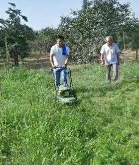 果园割草机哪一款最好,新型果园割草机