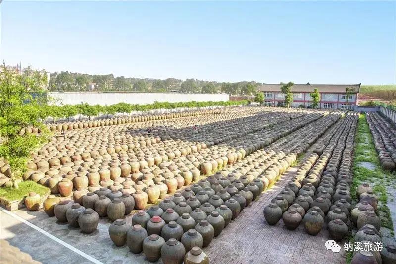 泸州美食特色餐厅排名,泸州红树湾有哪些特色美食