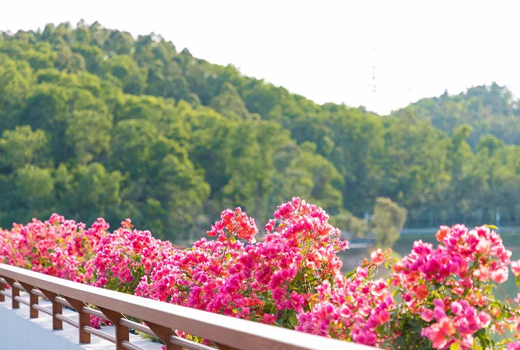 重庆轨道3号线,贵阳地铁3号线