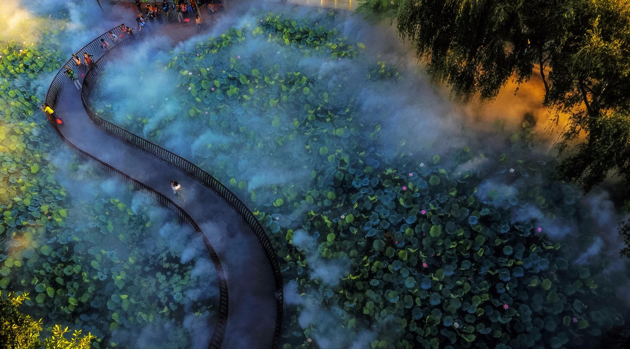 佛山是怎么成为武术之乡的？