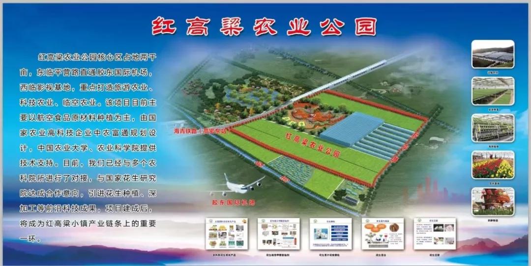 聚焦新旧动能转换聚焦乡村振兴,聚焦枣庄新旧动能转换项目推进会