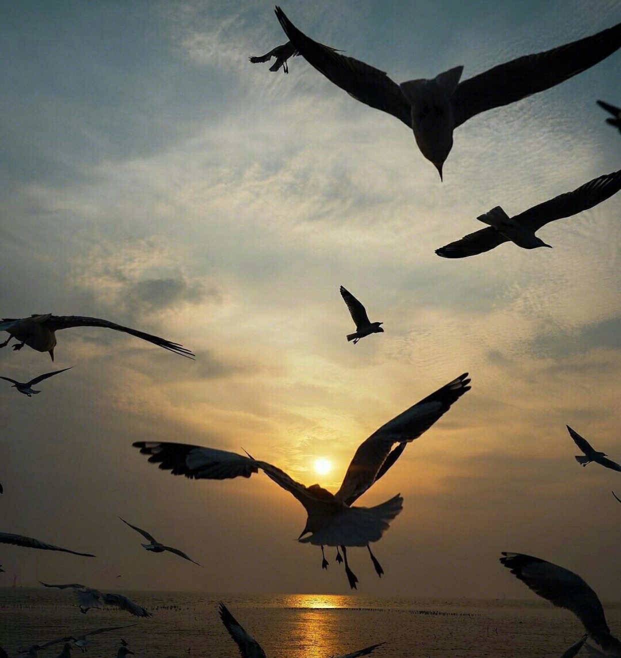 最好的时光遇见你免费观看,泰国5日经典旅游攻略