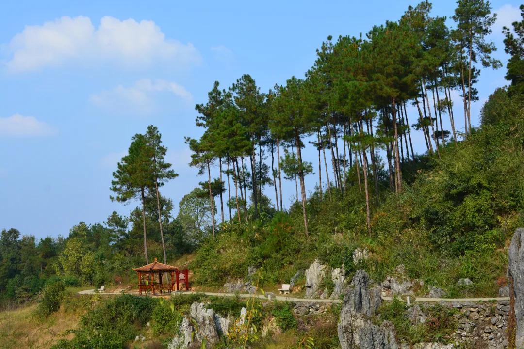 乡游黔中|出发吧！探思南石林奇观，赏幽深人间仙境