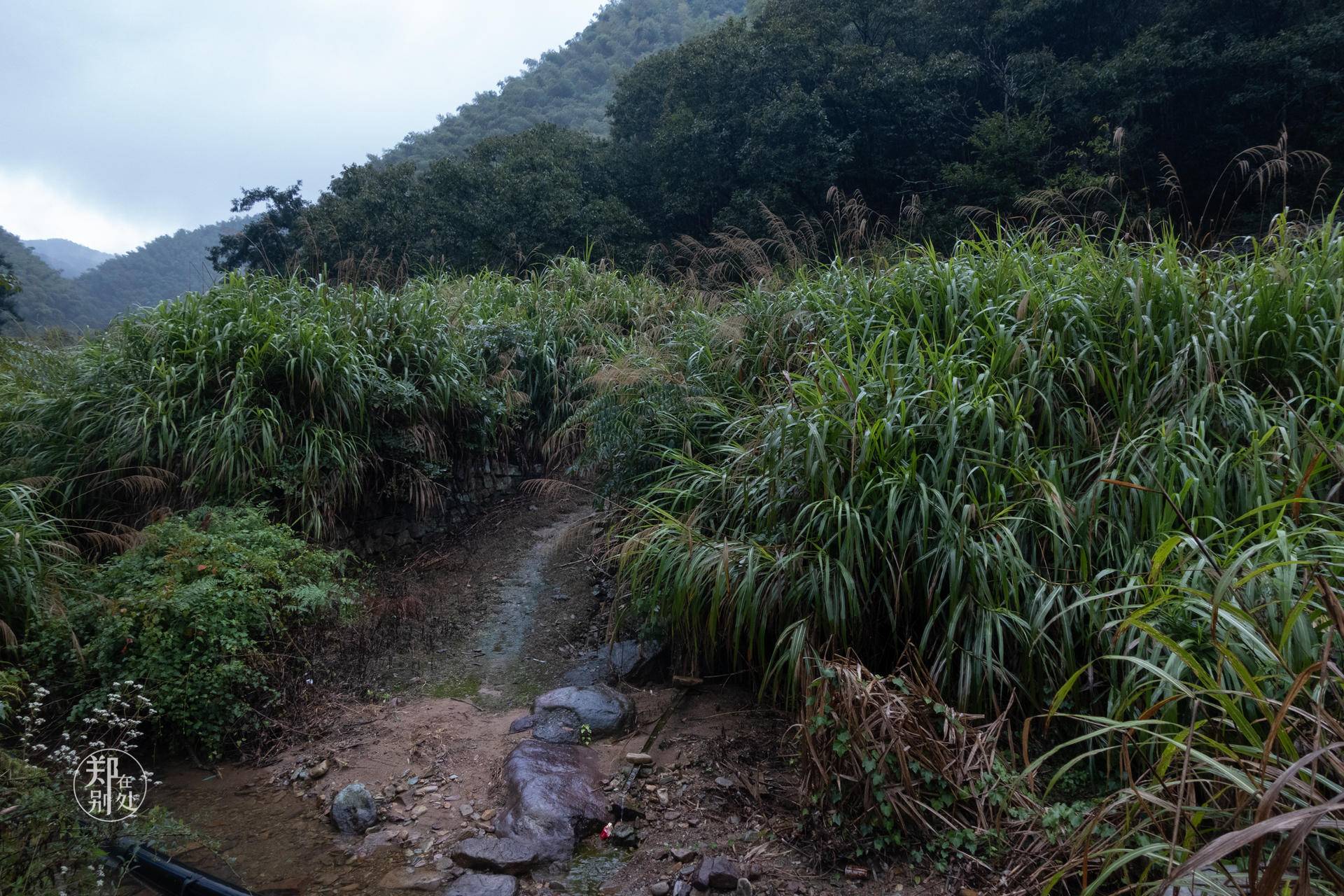 香榧古道,香榧古道徒步路线哪条景色美