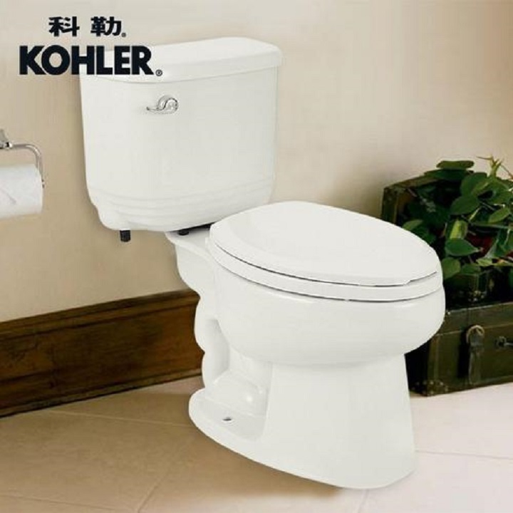 马桶的品牌和型号怎么挑,马桶牌子的和不是牌子的区别