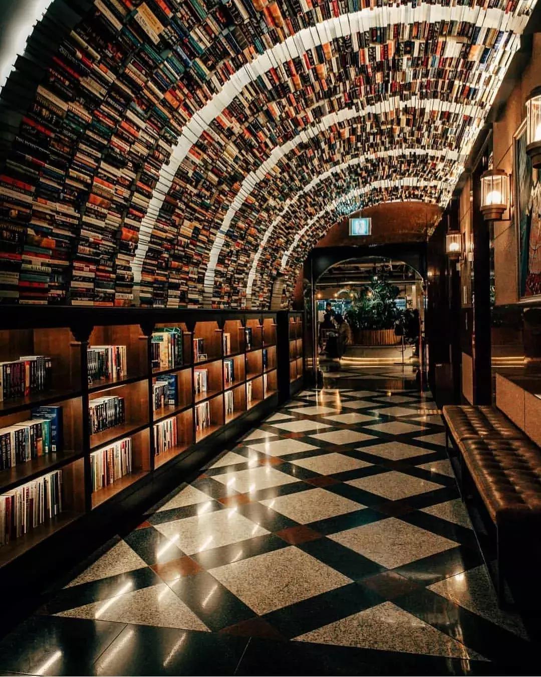 一个让我放下手机去看书的理由,你会放下手机而去认真地看书吗