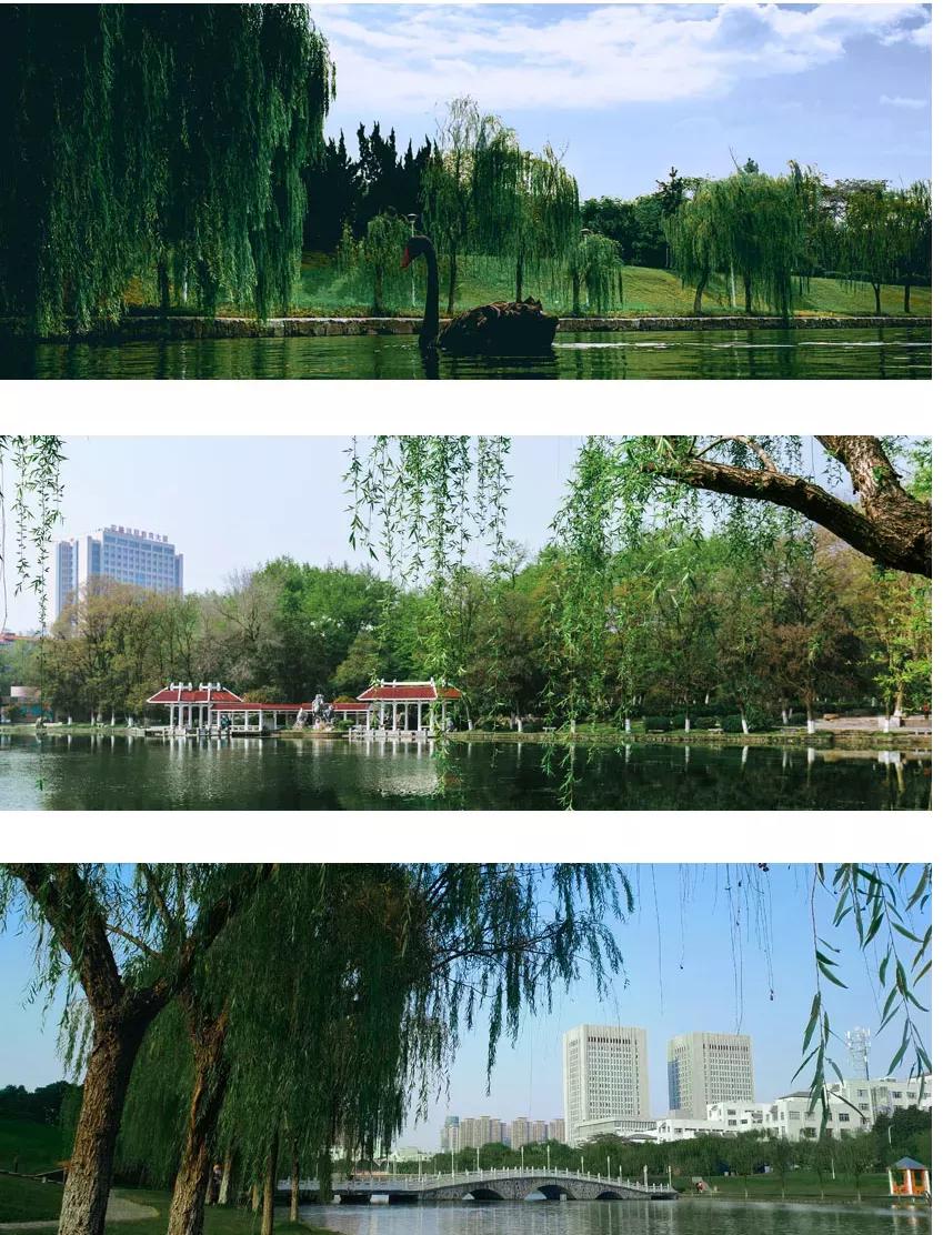 安徽省高校合肥理工,安徽省二类本科公办大学