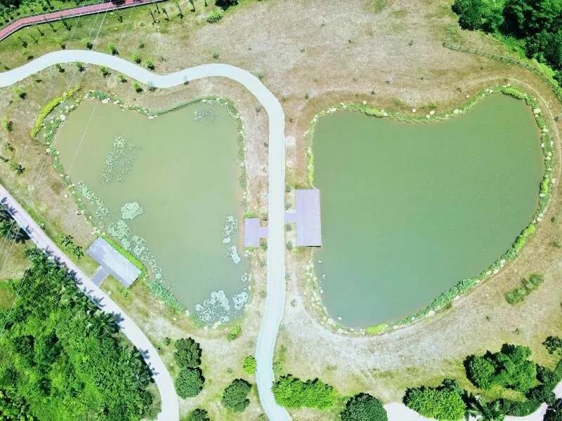 湖泊风景区推荐,深圳十大免费主题公园