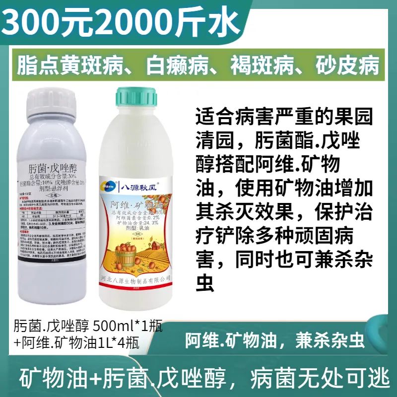 本轮寒潮对春耕的影响,什么药防治柑橘沙皮病虫害