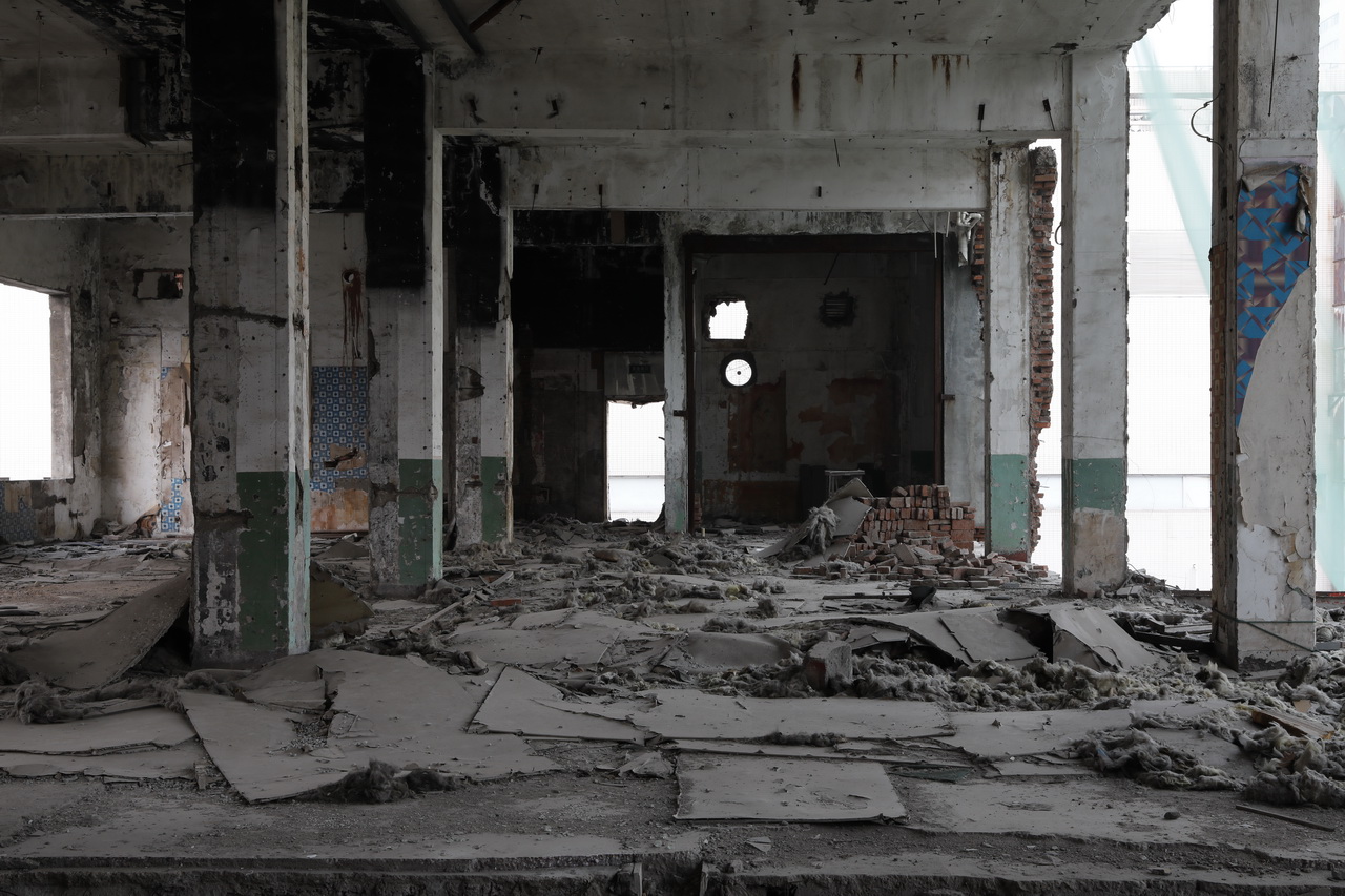 大武汉系列之一,武汉电池厂布局