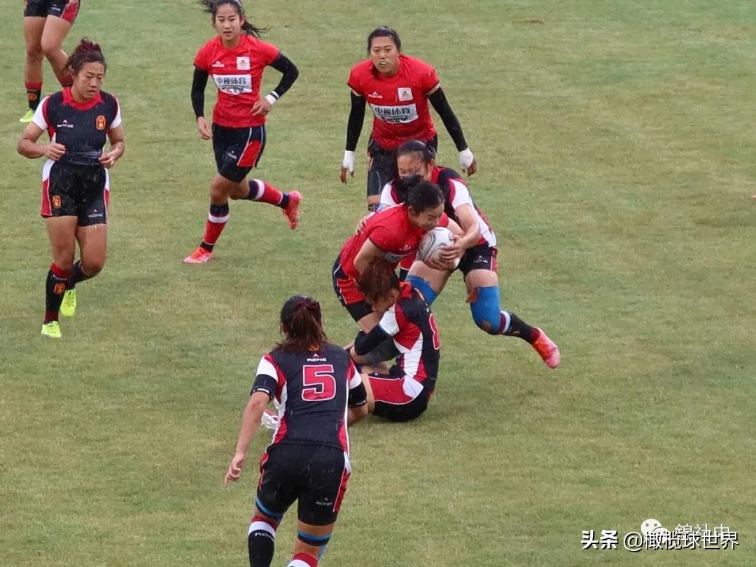 我和我的体育故事,我和运动会的故事