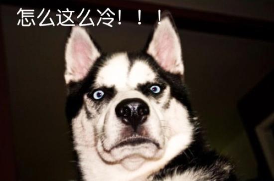 今日体彩竞彩多特蒙德,巴黎圣日耳曼vs多特蒙德会爆冷吗