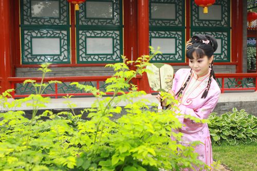 红楼梦原著中的黛玉和宝钗扑蝶,黛玉葬花对红楼梦有什么暗示