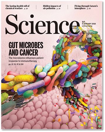 地球为什么没有微生物,如果没有微生物人类会如何