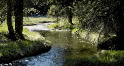 听,夜莺一直在歌唱(十四)