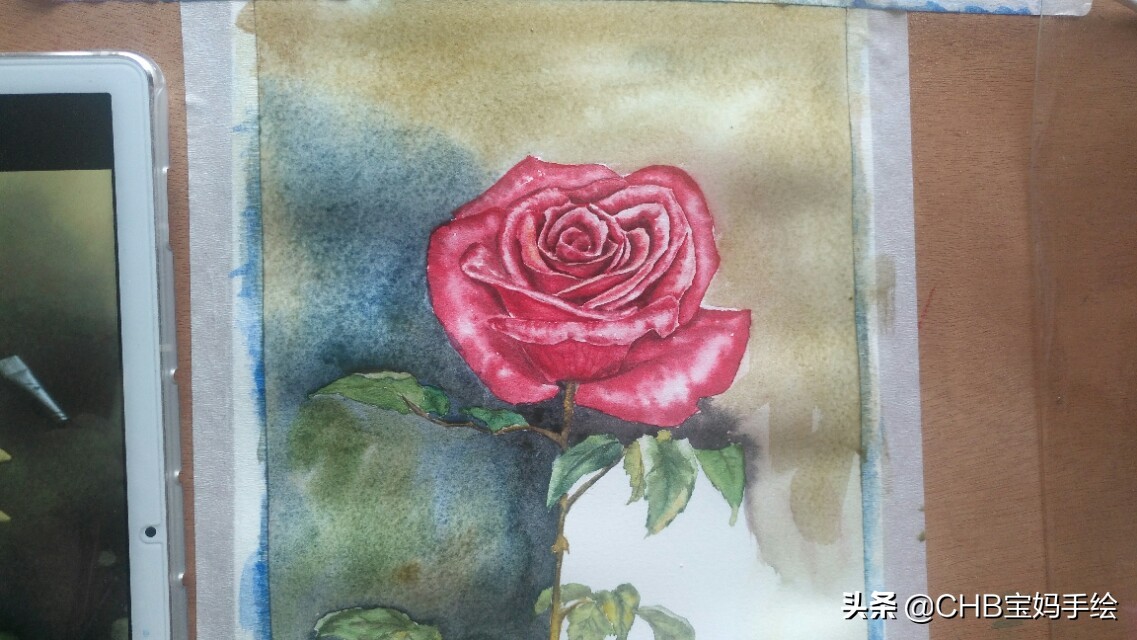 水彩画初学者零基础教程玫瑰花,水彩画教程入门玫瑰花慢教程