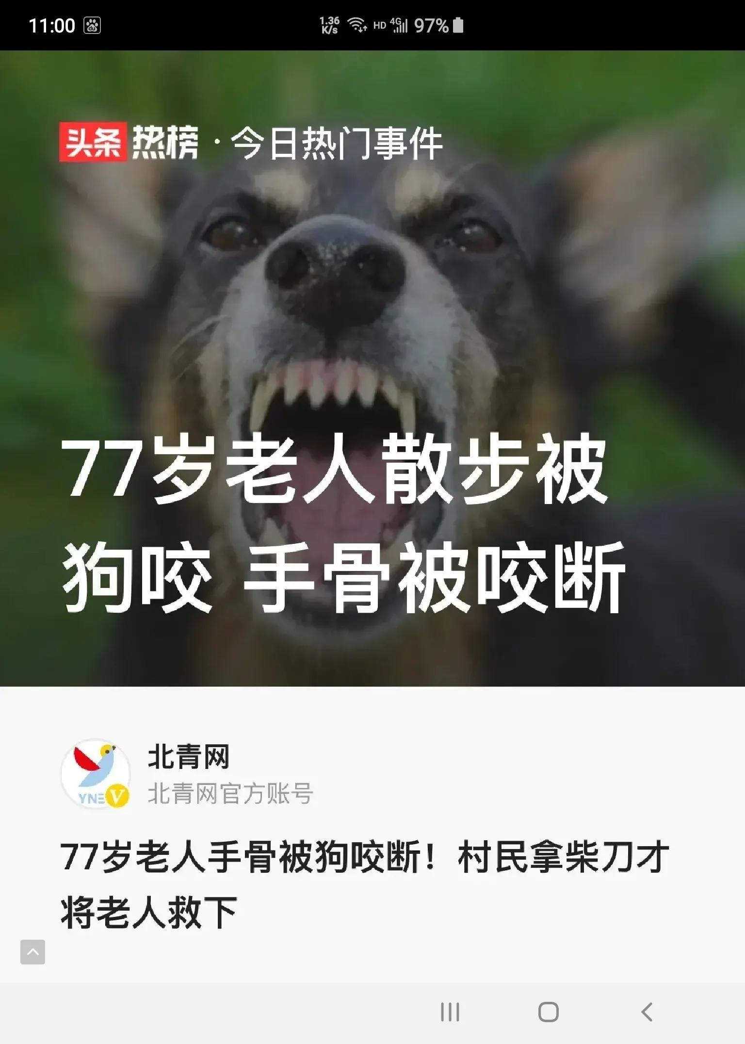 散步遇到狗怎么办,老人散步被狗咬伤