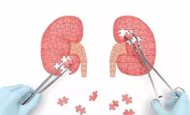 肾囊肿穿刺治疗的方法利与弊,肾囊肿最好的锻炼方法视频