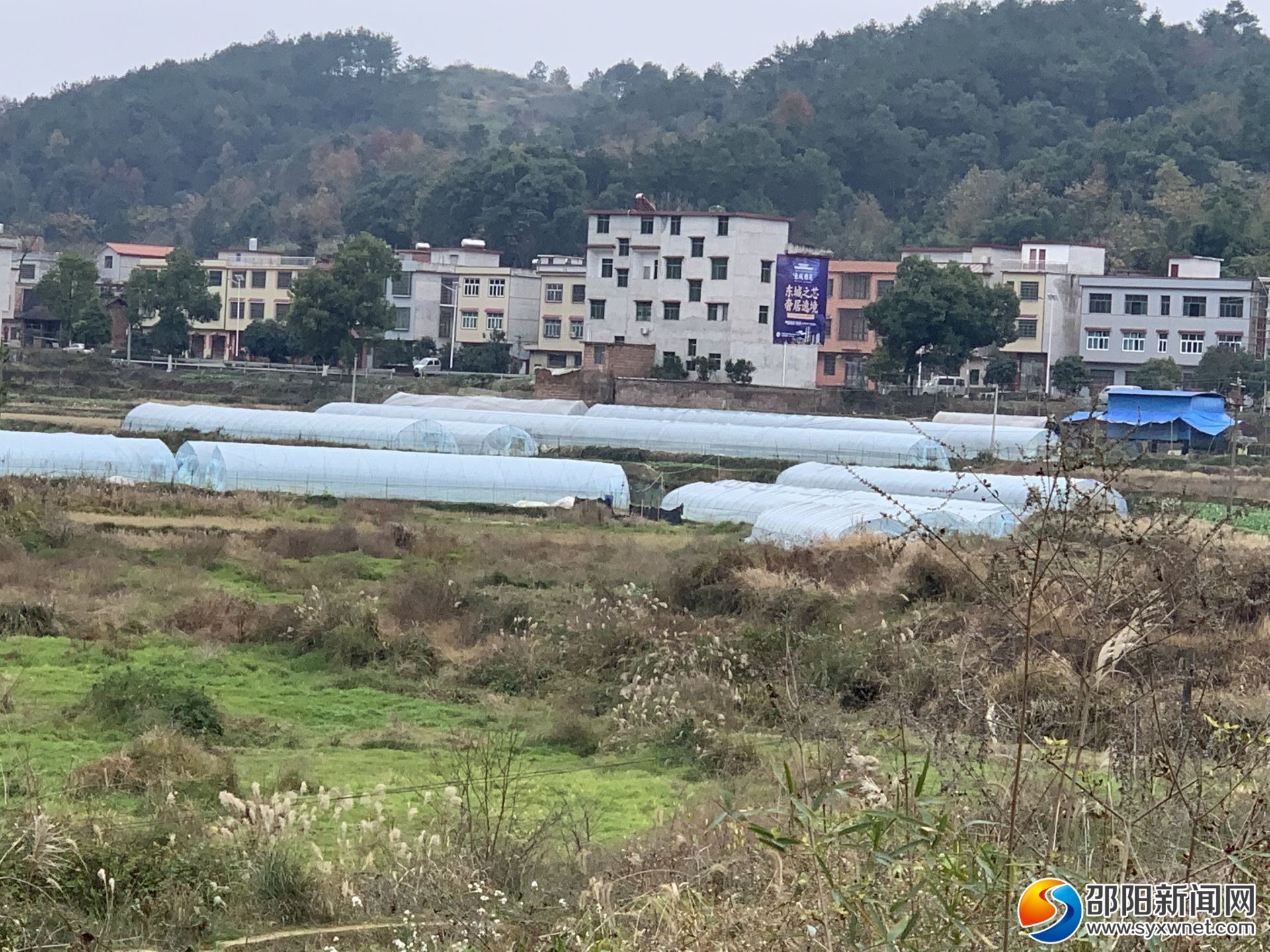 隆回*草烟**：用心用情唱响群众致富小康歌