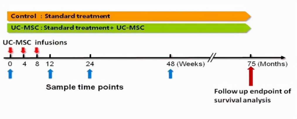 干细胞治肝硬化最新临床研究,干细胞辅助治疗肝病肝硬化