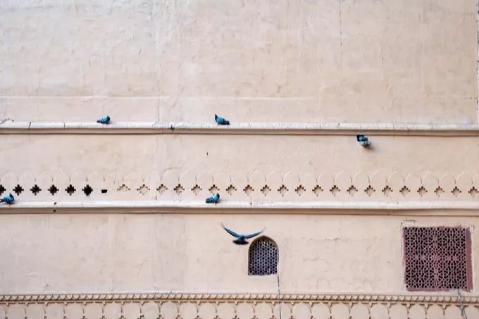 印度这座老城，房子都是粉色，去亚洲最豪华电影院只要几十元