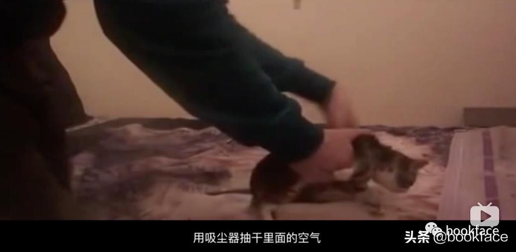 铏愮尗浜嬩欢铏愮尗鐙傞瓟,鐩樼偣铏愮尗琛屼负