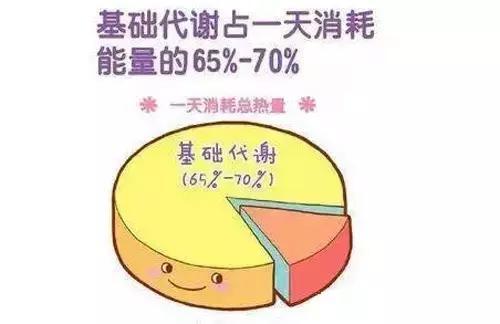 经常都在使用的健康码你了解吗,经常用的体重秤