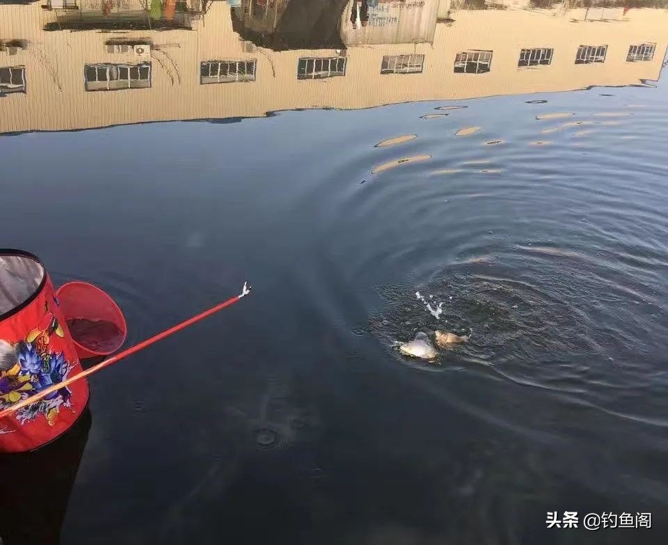 7.2米鱼竿黑坑用19调还是28调好,钓黑坑如何选钓竿