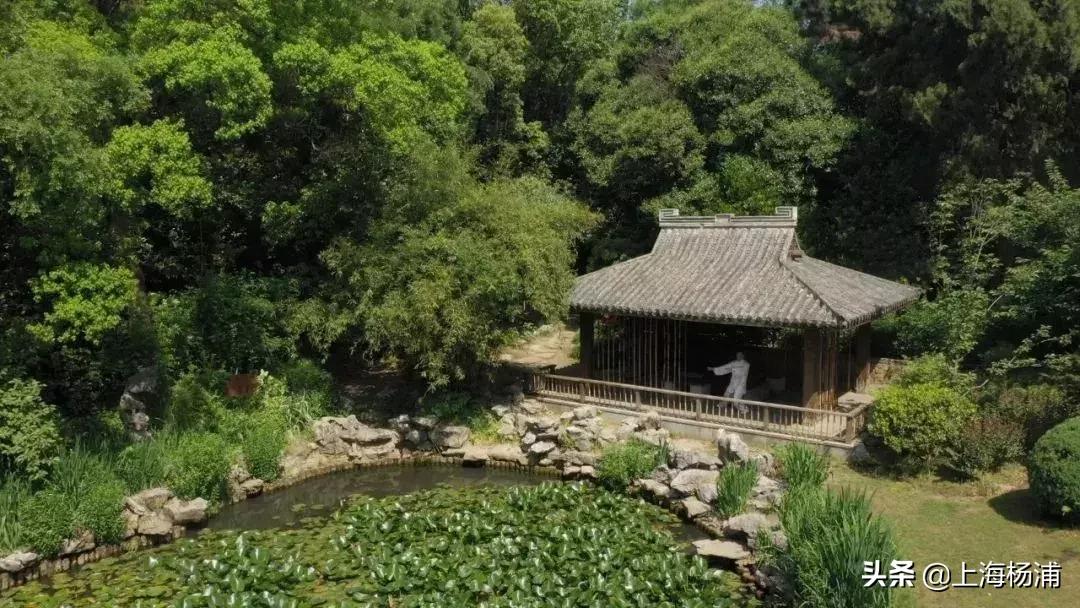 上海杨浦鸟瞰图,俯瞰上海杨浦滨江