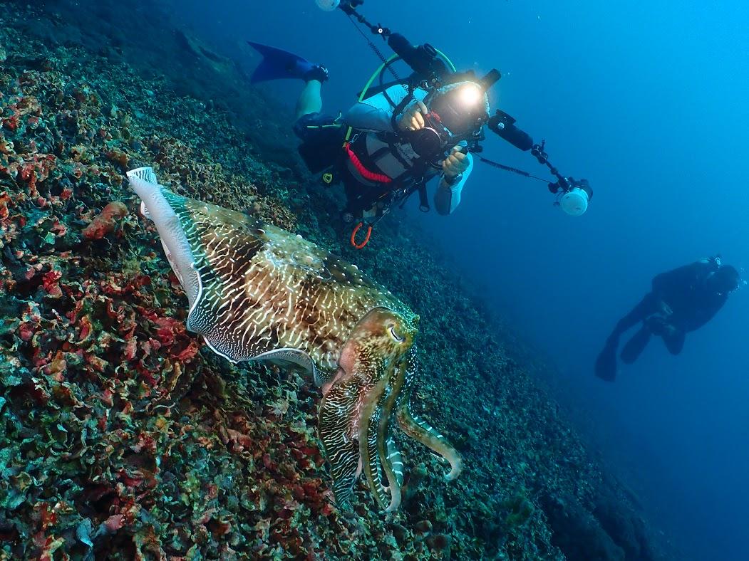 十个最适合冬天度假的绝美海岛,10个好玩又便宜的海岛