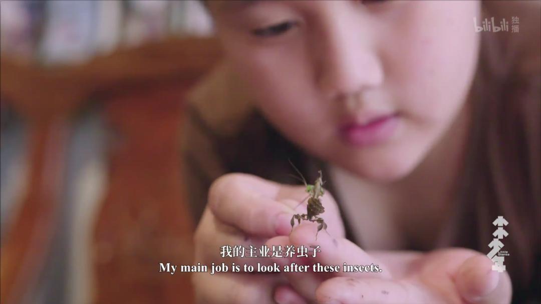 全员内卷，我更要吹爆这国产9.8