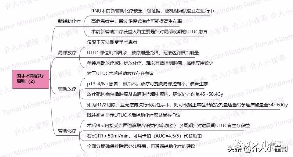 肿瘤护理思维导图,肿瘤免疫思维导图