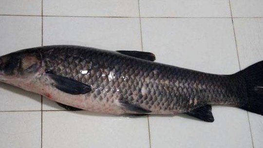 如何正确操作，避免“拔河”现象出现，注意这些细节和技巧就行了