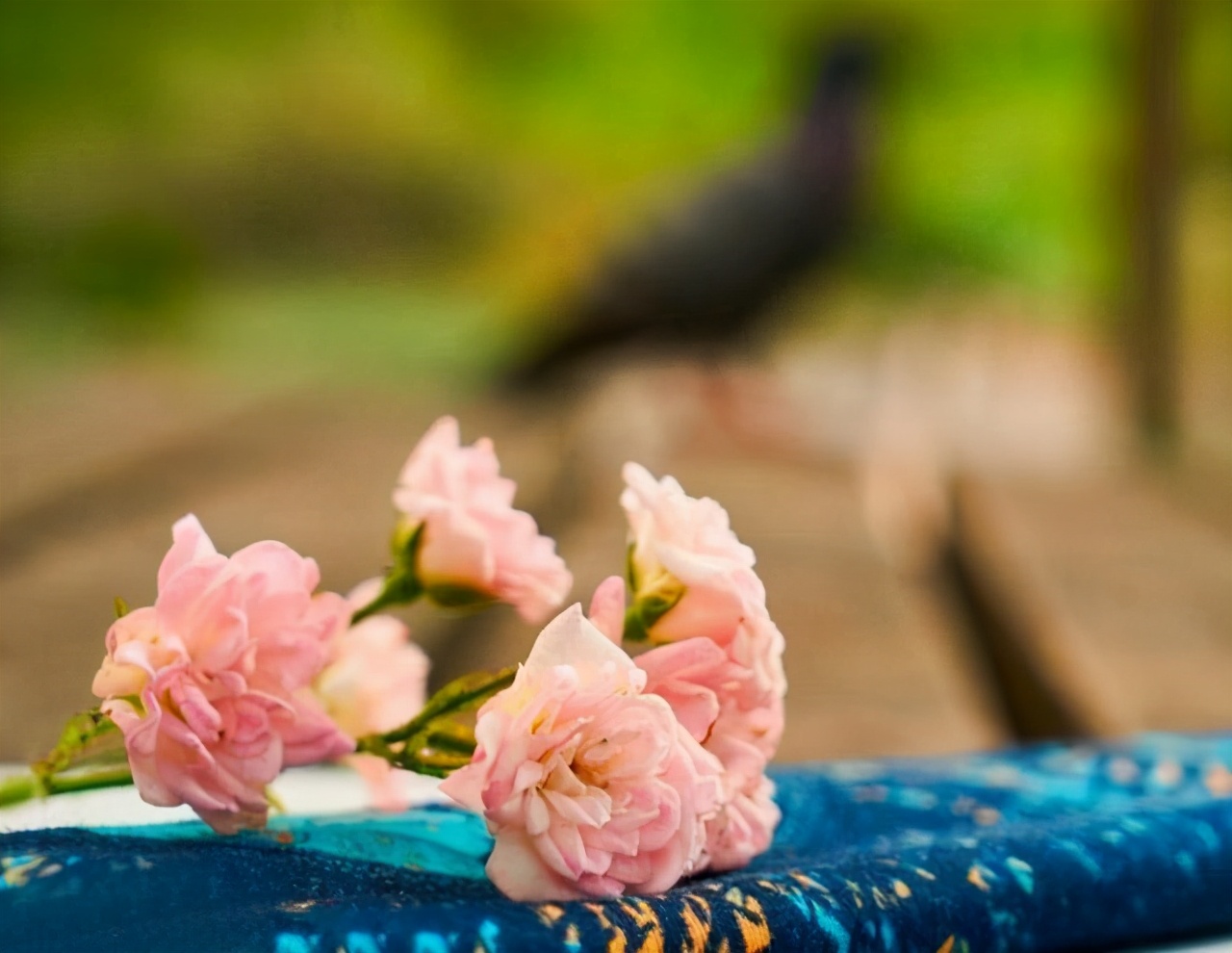 真正值得嫁的女人,真正值得你嫁的人