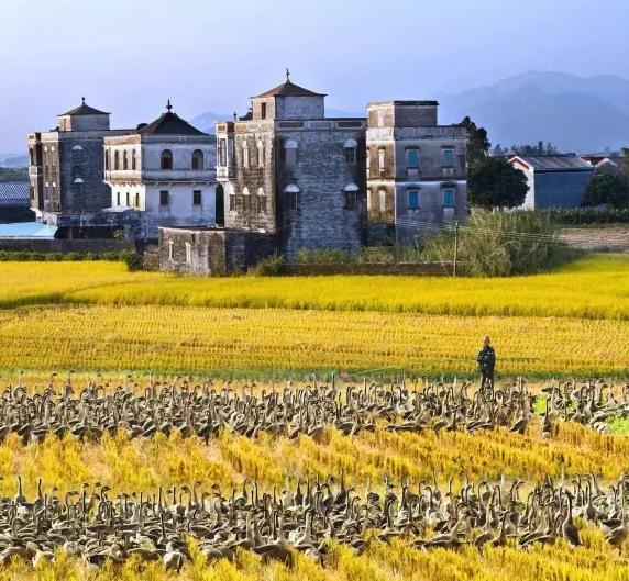 游四方全部视频,游四方四川