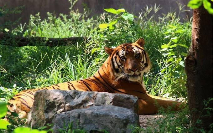 上海旅游攻略必去景点大全,上海玩耍景点推荐