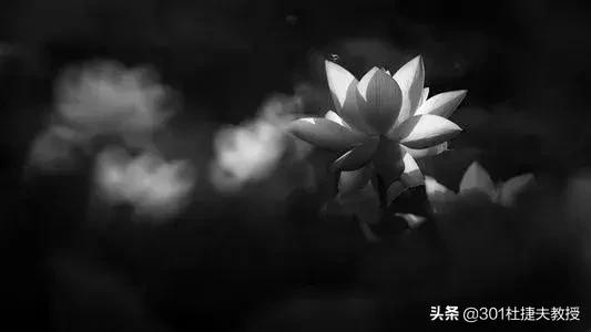 七七四十九天的忌日思念父亲文案,七七忌日悼念天堂的父亲