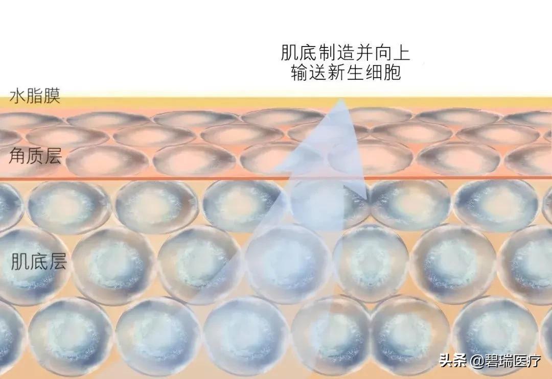 为什么要穿肌底衣,为什么不建议用肌底液