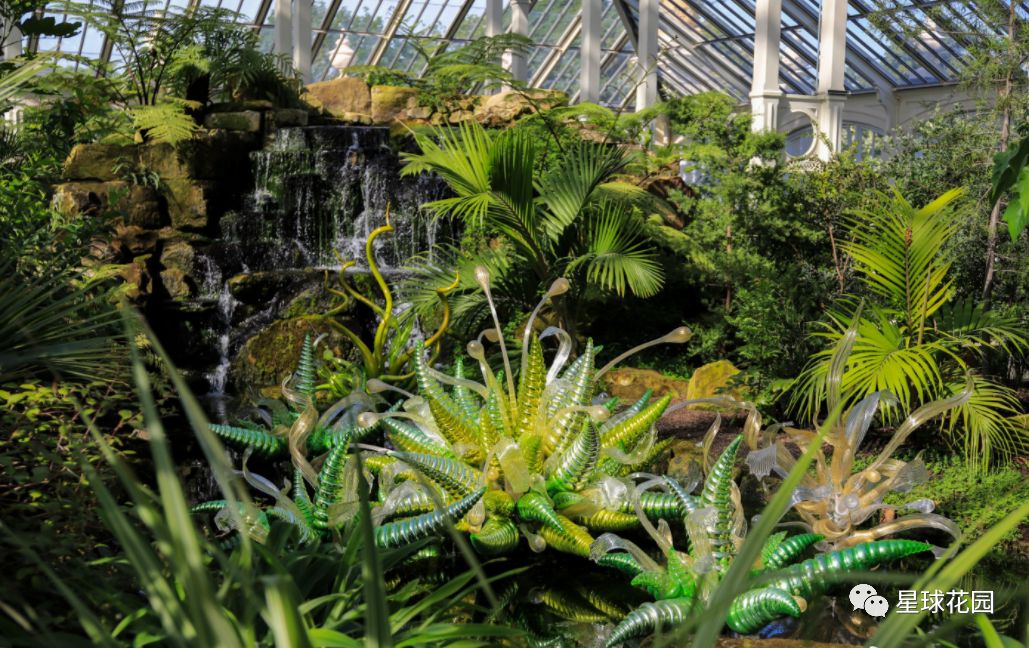 二木带你游花园|邱园（kewgarden）离我们到底有多远？