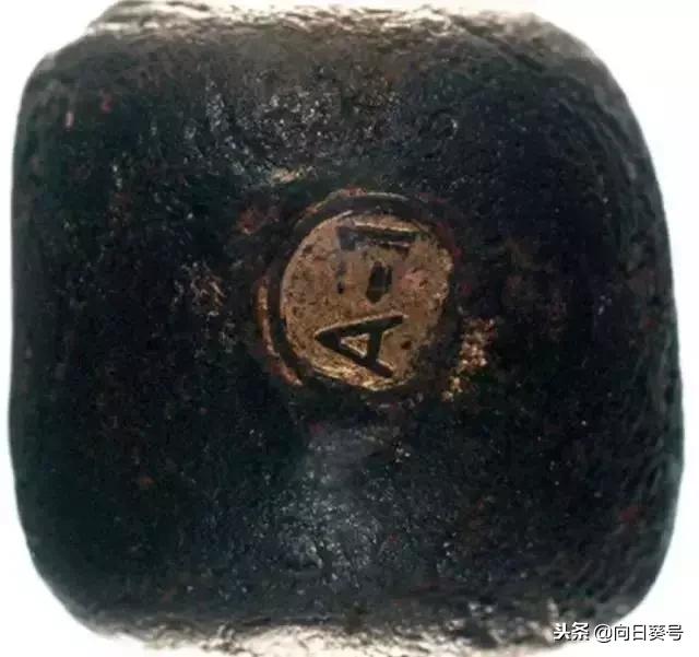 每日一药全部视频,每日一药当归