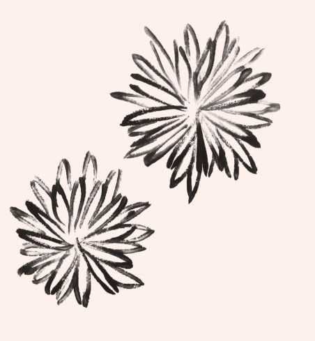 国画知识：不会画菊花？教你5种菊花画法，简单易学，快来临摹吧
