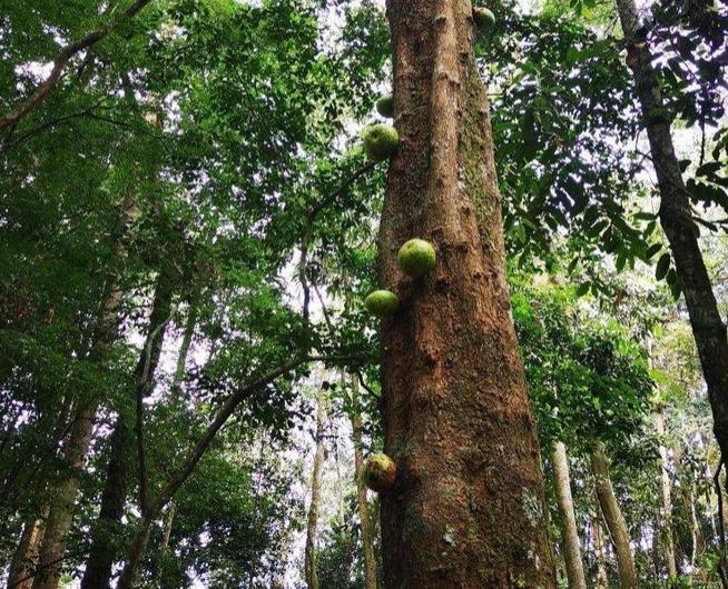 科特迪瓦哪里的海边好玩,科特迪瓦象牙海岸
