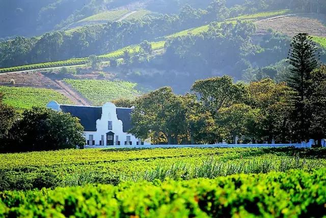 世界10大葡萄酒产区,世界十大顶级葡萄酒产区