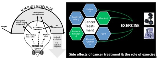 朱为模院士团队抗疫健身操口令版,朱为模院士科学健身学习心得